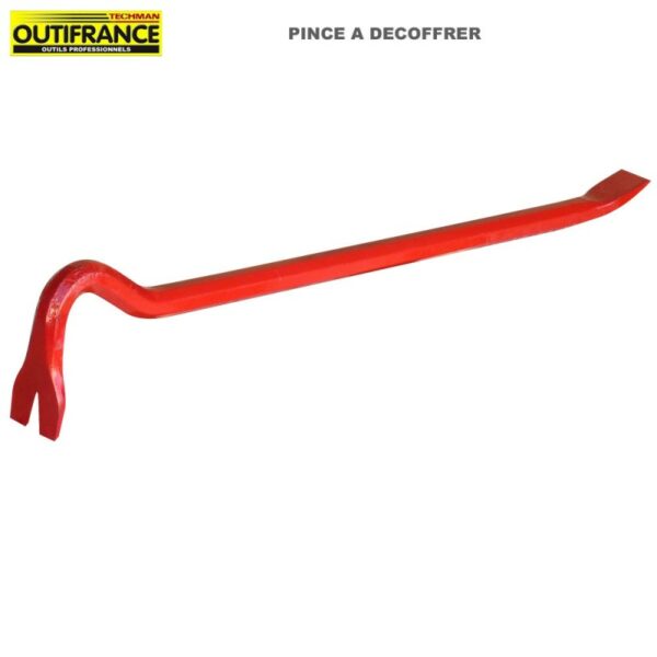 PIED DE BICHE <div hidden>DI_BICH001</div>
