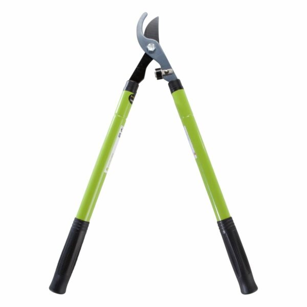 COUPE BRANCHE <div hidden>JA_CISH001</div>