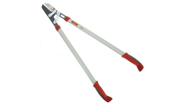 COUPE BRANCHE <div hidden>JA_COBR004</div>