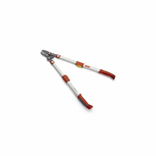 COUPE BRANCHE TELESCOPIQUE <div hidden>JA_COBR008</div>