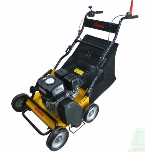 SCARIFICATEUR THERMIQUE COLOMBIA (40 CM) <div hidden>JA_SCAT009</div>